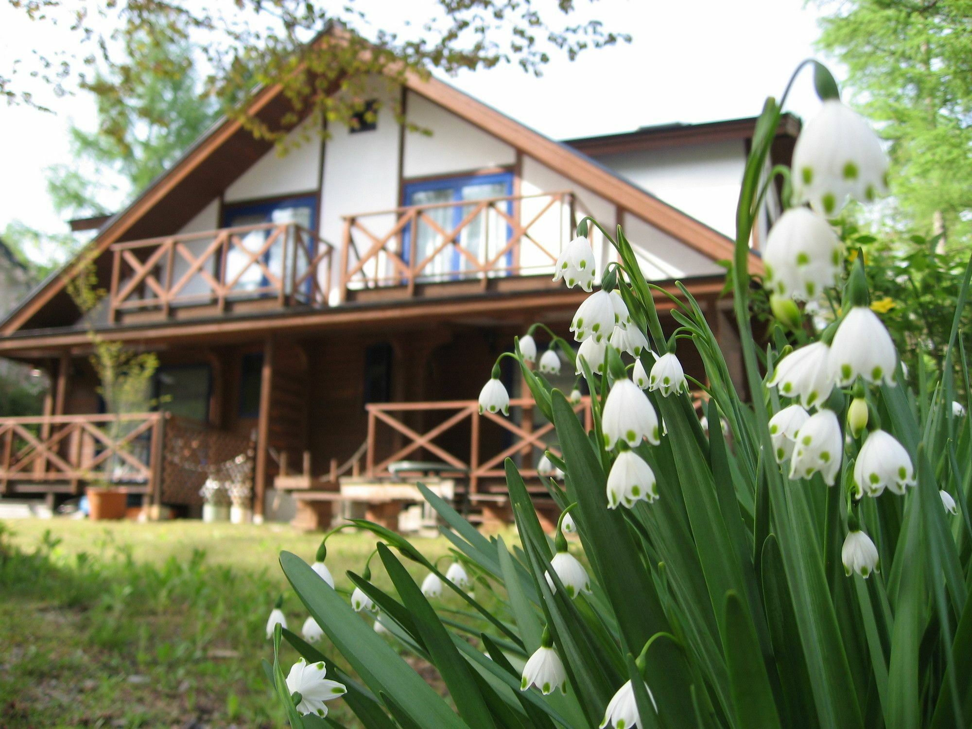 Hakuba Megeve Villa Exterior foto